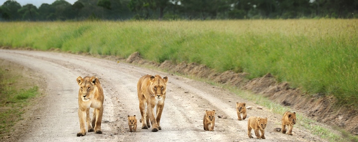 03days-Kenya-MasaiMara-Camping-Safari