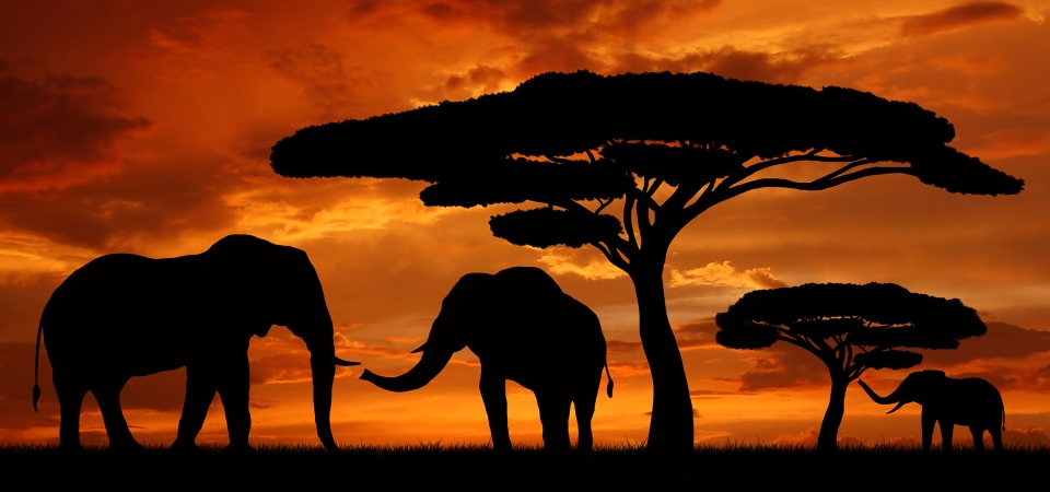 10Days-Kenya-great-migration-safaris