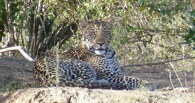 08 Days–Tanzania-Semi-Budget-Holiday 