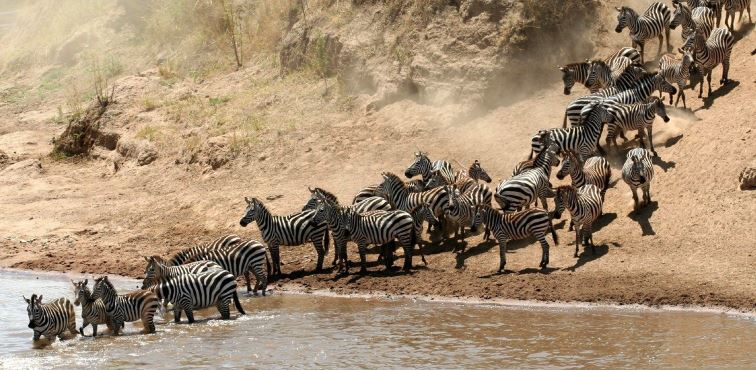 Tanzania-Budget-tours
