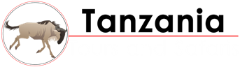 Tanzania Tours and Safaris