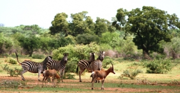 tarangire-national-park