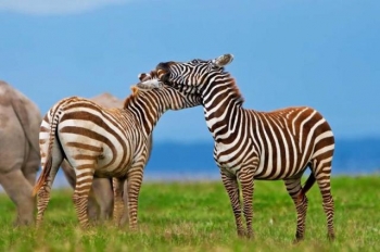 04-days-kenya-majestic-adventure-holiday