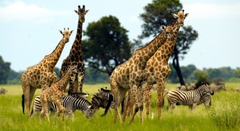 04Days--Kenya-adventure-tour-safaris