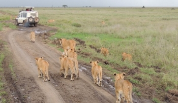 12-days-tanzania-luxury-wildlife-and-beach-holiday