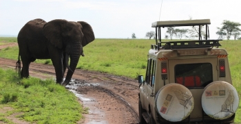 08-days-ngoro-ngoro-wildlife-and-beach-holiday