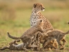 03-days-tsavo-east-holiday