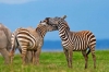 04-days-kenya-majestic-adventure-holiday