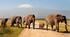 08-days-kenya-migration-safaris